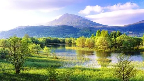 智慧城市独特网络化